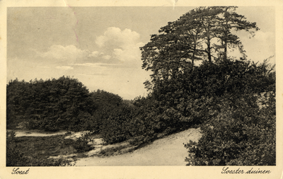 14640 Gezicht op de stuifduinen met naaldbomen en -struiken te Soestduinen (gemeente Soest).